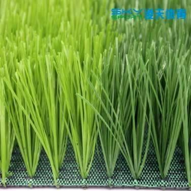 广州三亿体育：春季单筋人造草坪